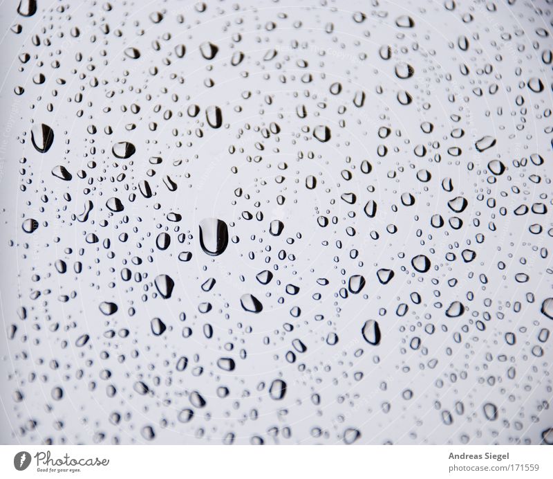 Summer, sun, sunshine (???) Colour photo Subdued colour Close-up Pattern Deserted Neutral Background Contrast Environment Drops of water Climate Climate change