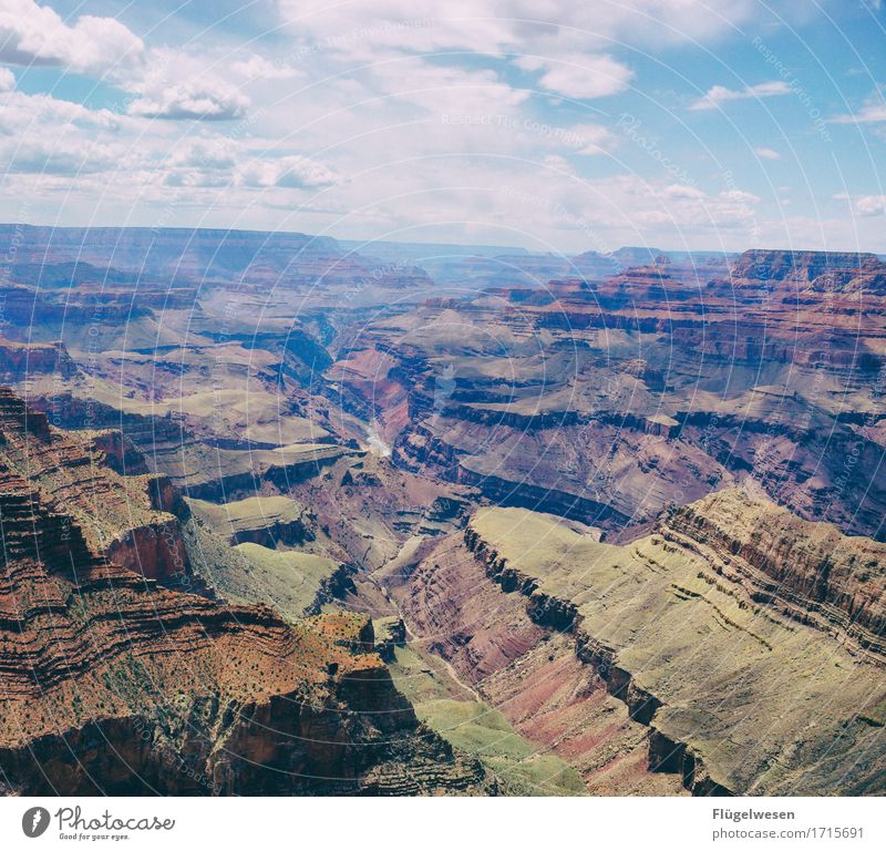 Beautiful America (q) Sky Clouds Day Shadow Mountain Grand Canyon Americas USA Landscape Plant Animal Vantage point Far-off places Deserted Bushes