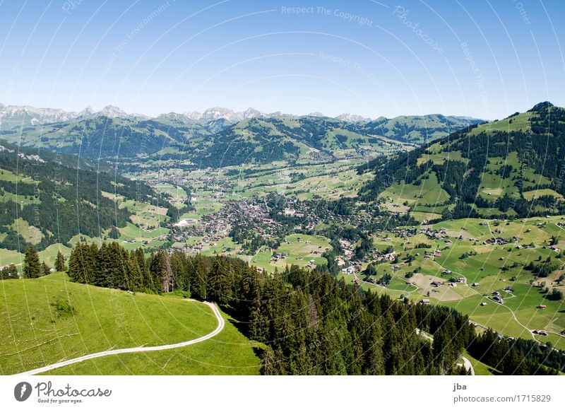 Flight to Gstaad I Lifestyle Well-being Contentment Relaxation Calm Leisure and hobbies Trip Adventure Far-off places Freedom Summer Mountain Paragliding