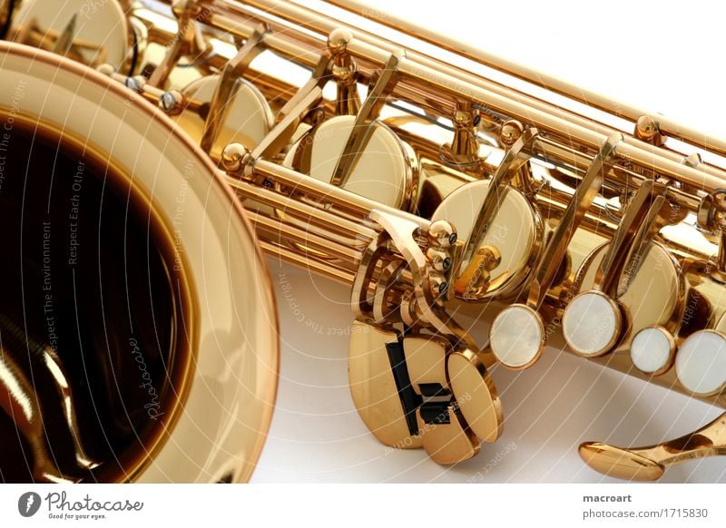sax Saxophone Wind instrument flakes Flap Woodwind instrument Music Musical instrument Detail Close-up Mother-of-pearl