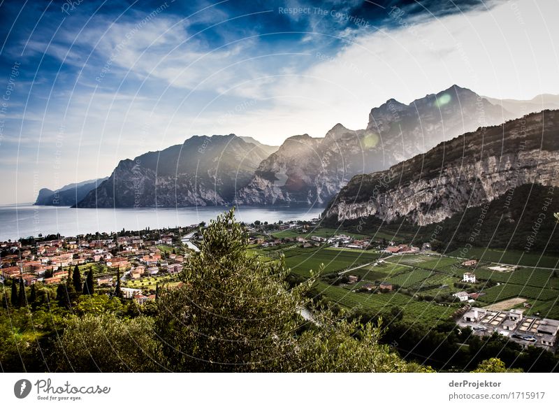 Sunset at Lake Garda Vacation & Travel Tourism Trip Adventure Sightseeing City trip Summer vacation Environment Nature Landscape Plant Animal Field Hill Rock