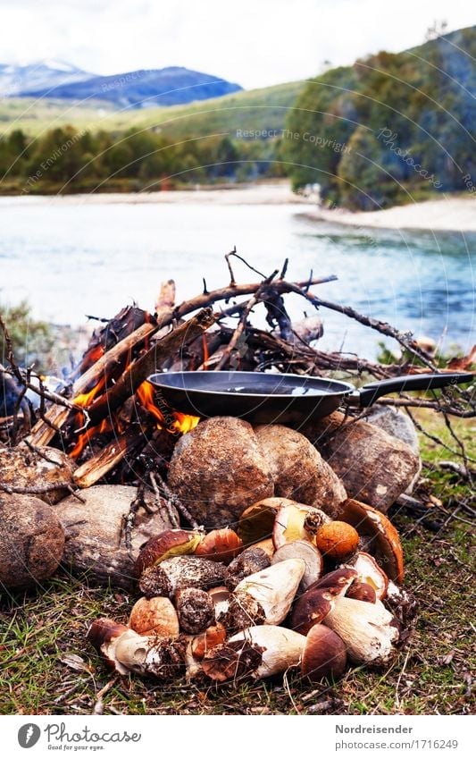 outdoor kitchen Food Nutrition Lunch Dinner Picnic Organic produce Vegetarian diet Pan Vacation & Travel Adventure Freedom Nature Landscape Elements Fire River