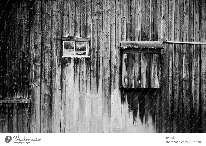 Old wooden gate Gate Building Barn door Hinge Window Wood Gloomy Decline Past Transience Wooden wall Derelict Damage Ravages of time lost places