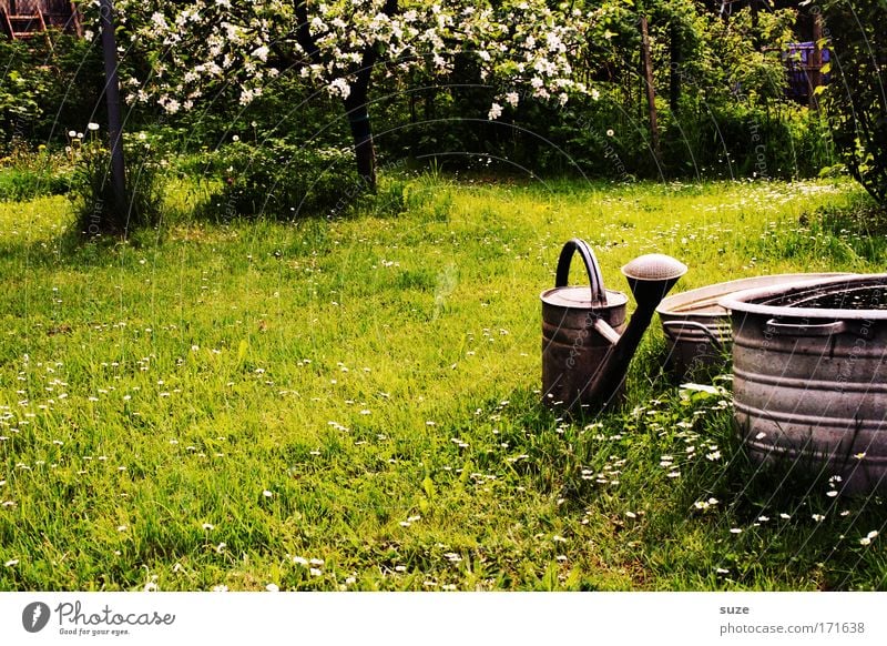 full can Garden Gardening Environment Nature Plant Beautiful weather Tree Grass Meadow Watering can Authentic Idyll Green Relaxation Blossoming Colour photo