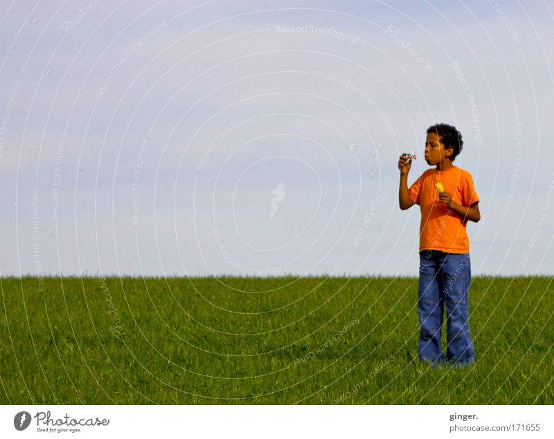 Bubbles over land (boy on a meadow, blowing bubbles) Colour photo Multicoloured Exterior shot Copy Space left Day Contrast Looking away Summer Child Human being