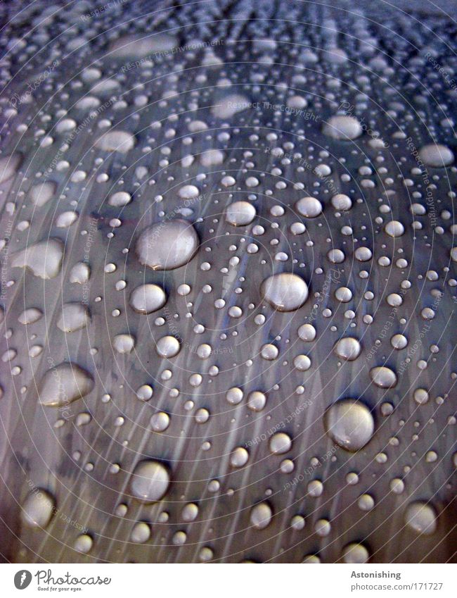 big points Nature Weather Rain Plastic Water Dark Blue Drops of water Wet Colour photo Exterior shot Deserted Shadow Contrast Blur Hydrophobic Watertight