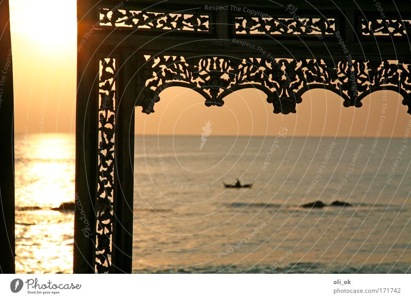 farsightedness Colour photo Exterior shot Evening Twilight Light Reflection Sunrise Sunset Back-light Shallow depth of field Central perspective Wide angle