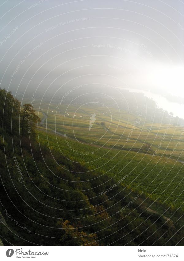 morning mood Colour photo Exterior shot Deserted Copy Space top Morning Dawn Light (Natural Phenomenon) Sunbeam Bird's-eye view Nature Landscape Sky Clouds