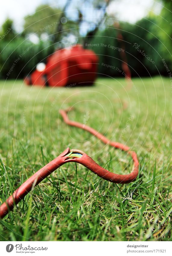 energy crisis Colour photo Exterior shot Close-up Detail Deserted Copy Space left Copy Space right Day Shallow depth of field Worm's-eye view Garden Gardening