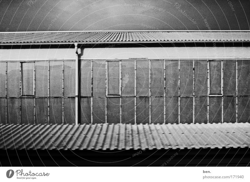 Darkest Dreaming Black & white photo Exterior shot Deserted Contrast Motion blur Building Hall Window Observe Movement Infinity Broken Gloomy Warmth Soft Pain