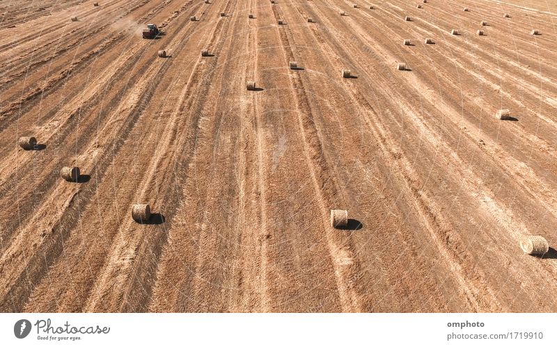 Aerial image of a tractor straw baler working in an agricultural field Summer Work and employment Industry Machinery Nature Landscape Plant Tractor bales