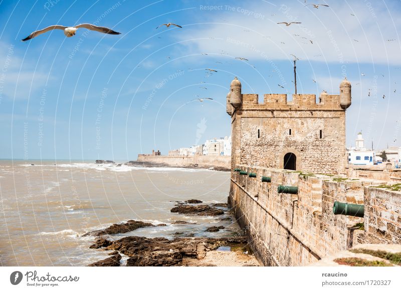 Essaouira: the Portuguese castle. Morocco Vacation & Travel Summer Ocean Waves Landscape Sky Coast Small Town Castle Harbour Bird Old Africa fortress