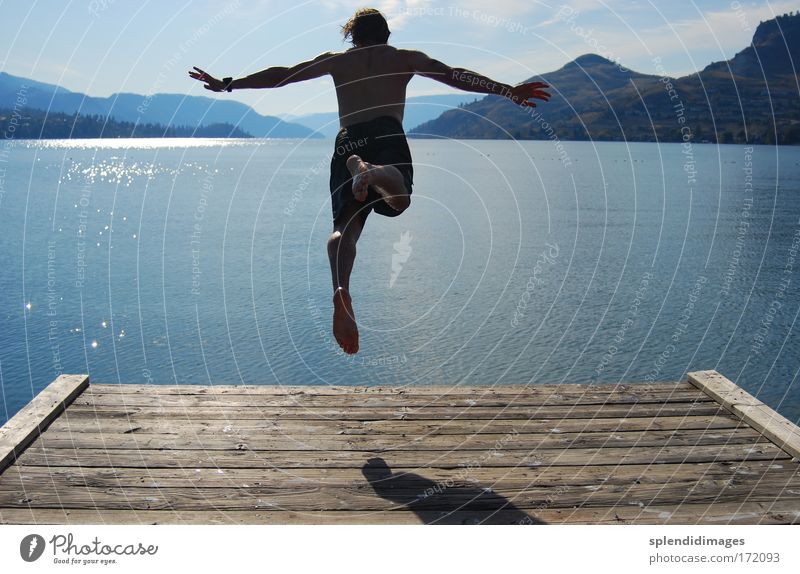 Jump into cold water Colour photo Exterior shot Copy Space left Copy Space right Day Light Shadow Contrast Silhouette Reflection Sunlight Sunbeam Back-light