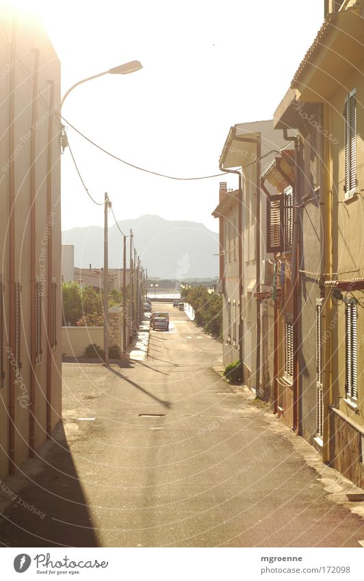 golden St. Lucia Colour photo Subdued colour Exterior shot Deserted Copy Space middle Day Light Contrast Sunlight Back-light Central perspective