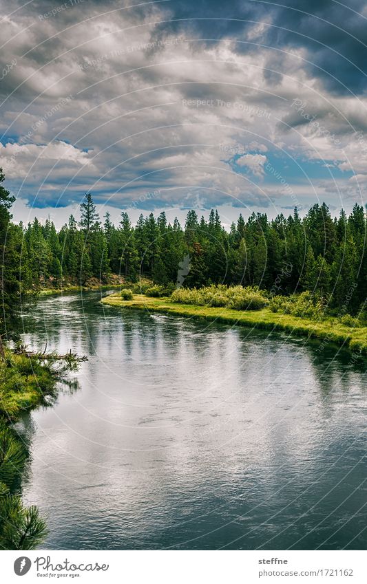wilderness Nature Landscape Elements Water Sky Clouds Summer Tree Forest River bank Hiking USA Oregon Stone pine Picturesque Idyll Bob Ross Threat Dark