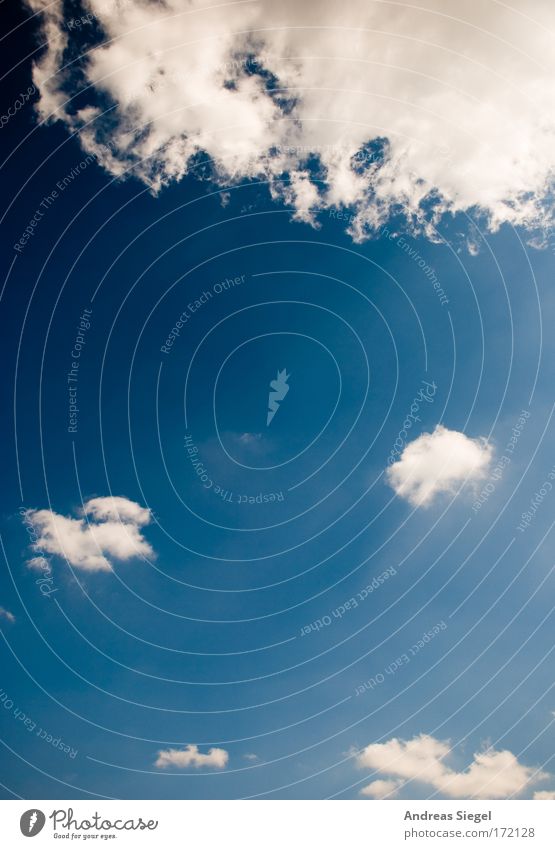 The sky is blue Colour photo Exterior shot Copy Space middle Day Sunlight Environment Nature Air Sky Sky only Clouds Summer Climate Climate change Weather