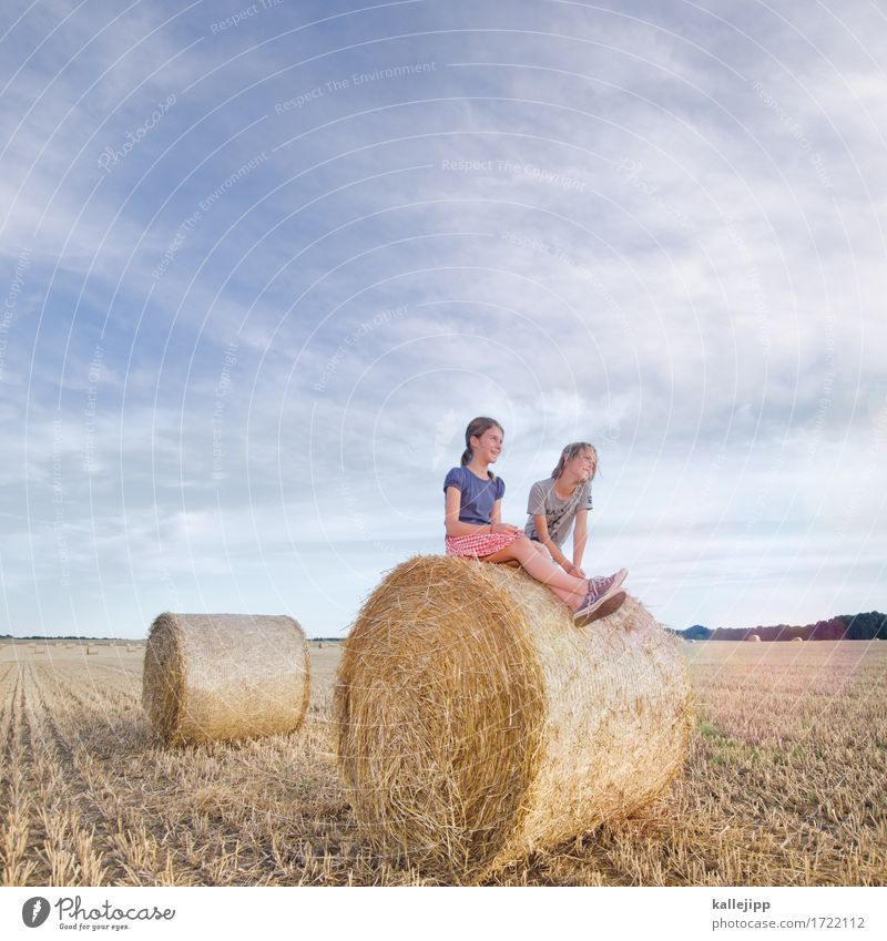 holiday start Human being Child Girl Boy (child) Brothers and sisters Sister Life 2 Environment Nature Landscape Summer Field Sit Playing Straw Bale of straw