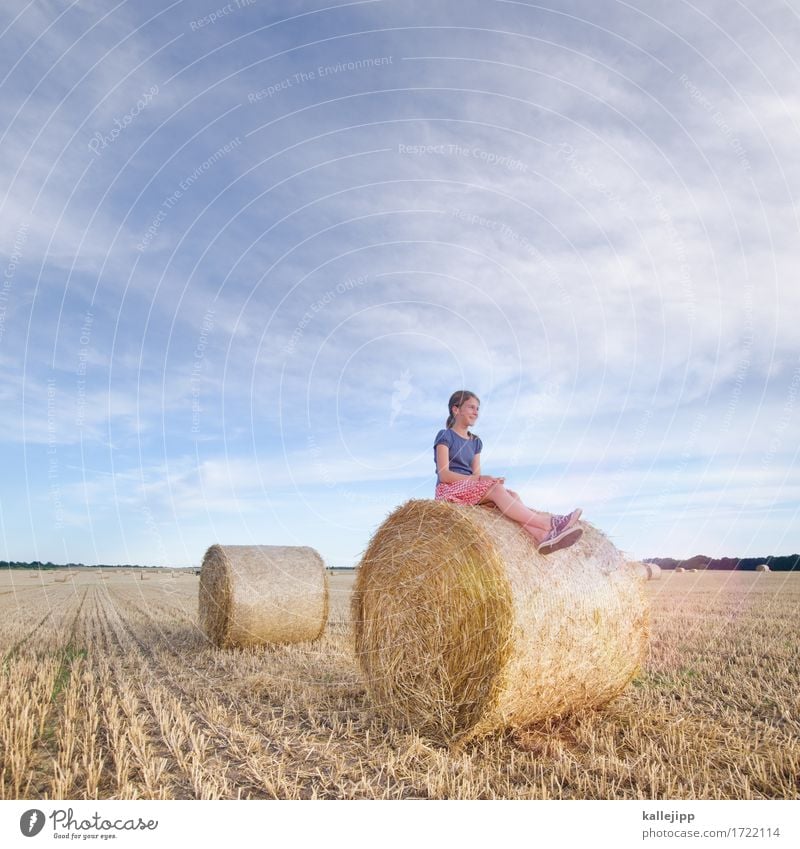 Girl On Hay Bales Girl A Royalty Free Stock Photo From Photocase