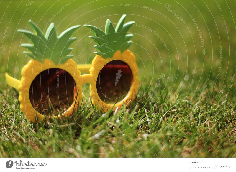summer feeling Leisure and hobbies Flat (apartment) Sign Yellow Green Emotions Moody Sunglasses Eyeglasses Funny Pineapple Style Garden Meadow