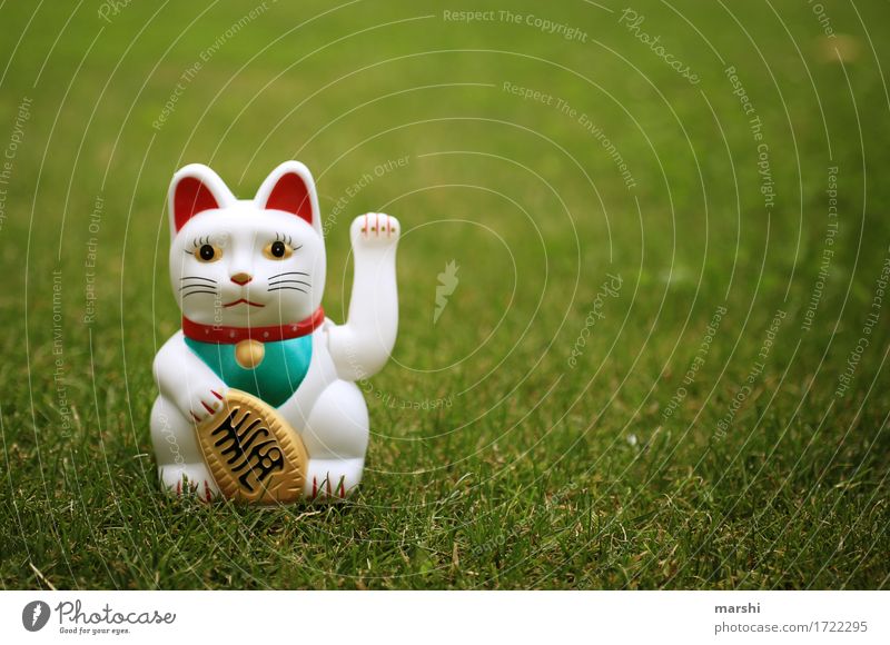 lucky cat Nature Plant Animal Garden Park Meadow 1 Emotions Moody Cat Happy Good luck charm Wobble Green Tradition Chinese Japanese waving cat Popular belief
