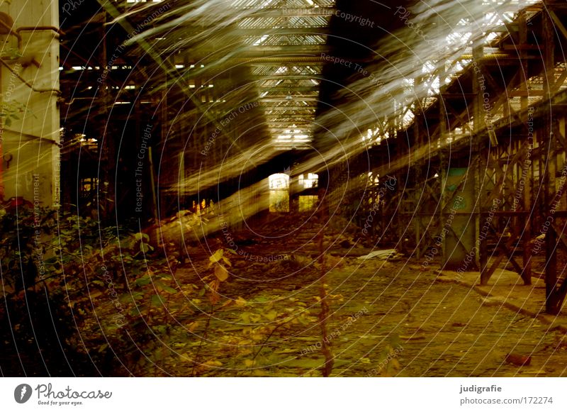 industrial romance Colour photo Interior shot Day Light (Natural Phenomenon) Long exposure Motion blur Factory Industry Plant Industrial plant Ruin