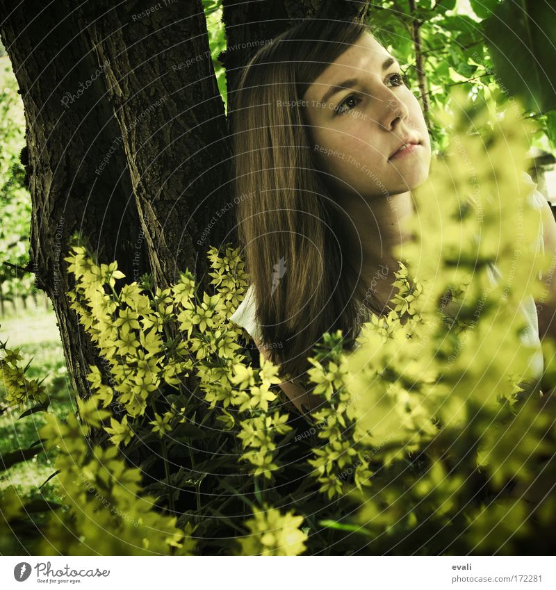 hide Colour photo Exterior shot Day Shadow Sunlight Deep depth of field Portrait photograph Looking away Feminine Young woman Youth (Young adults) Head