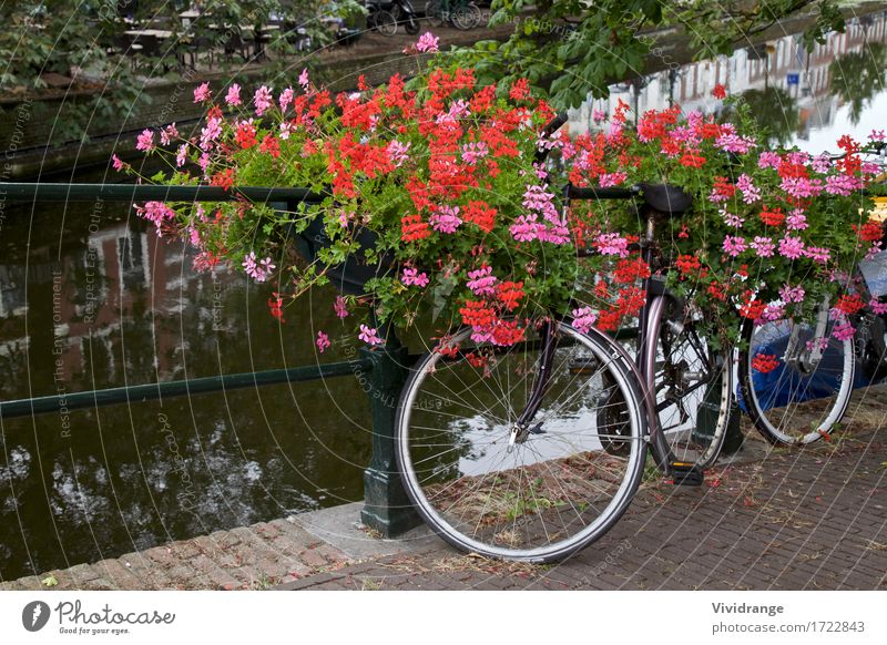 Bicycle on a bridge Amsterdam, Netherlands Vacation & Travel Tourism Trip Sightseeing Summer Fitness Sports Training Cycling Nature Landscape Spring Tree Flower