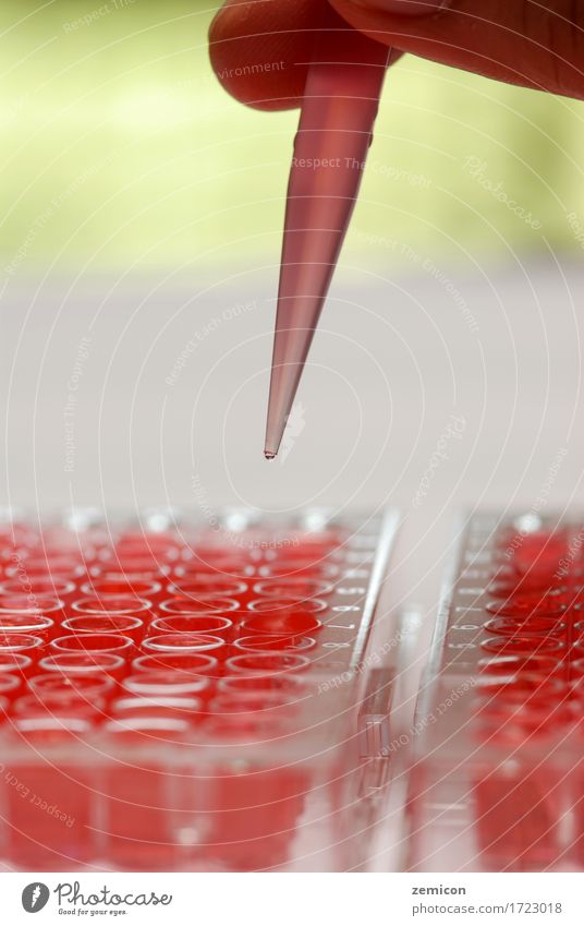 Droplet in a test tube. Laboratory Medicine Test tube Healthcare And Medicine Science & Research Chemistry DNA Scientific Experiment Medical Test Pipette