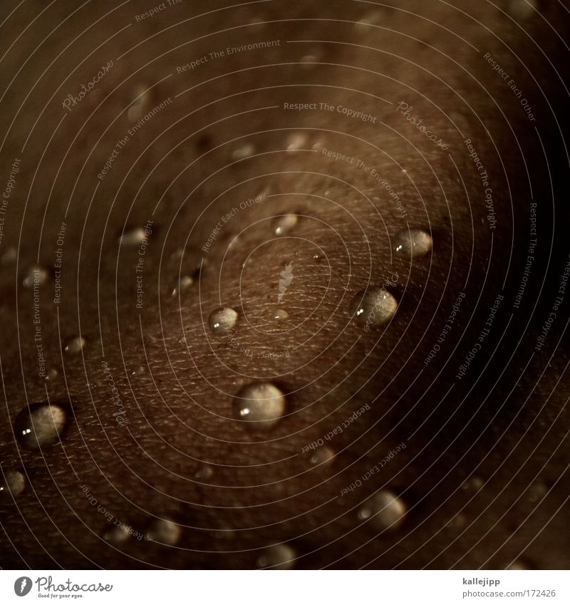 sitting under a waterfall Colour photo Close-up Macro (Extreme close-up) Abstract Low-key Blur Body Skin Manicure Cosmetics Wellness Life Senses Relaxation Calm