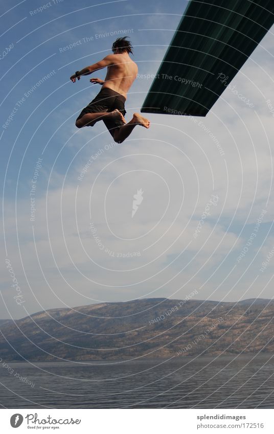 Off the board into cold water Colour photo Exterior shot Copy Space middle Day Sunlight Deep depth of field Long shot Full-length Rear view Summer