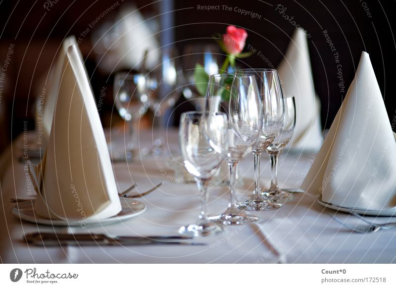 Table set with rose Colour photo Subdued colour Interior shot Close-up Detail Deserted Shadow Dinner Banquet Business lunch Crockery Plate Glass Cutlery