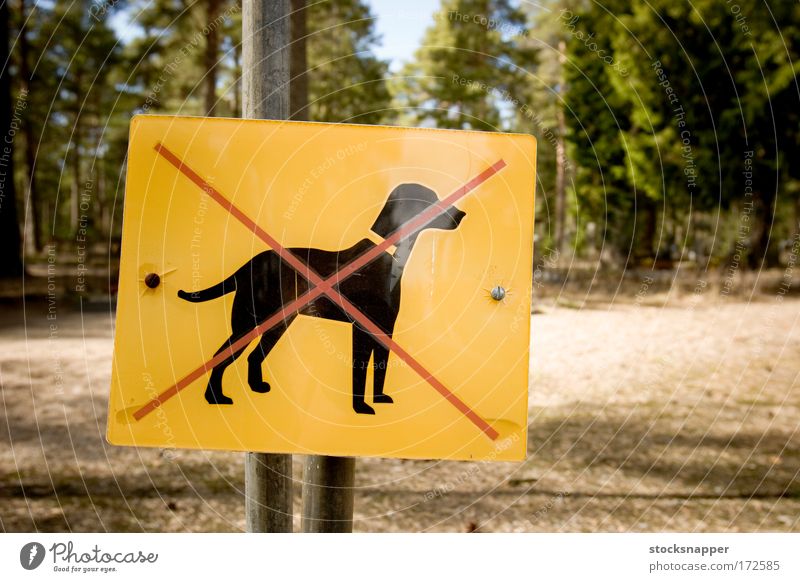 Dogs forbidden Pet Crossed Forest Negative prohibited Restrictive Park Mark Sign allowed Deserted