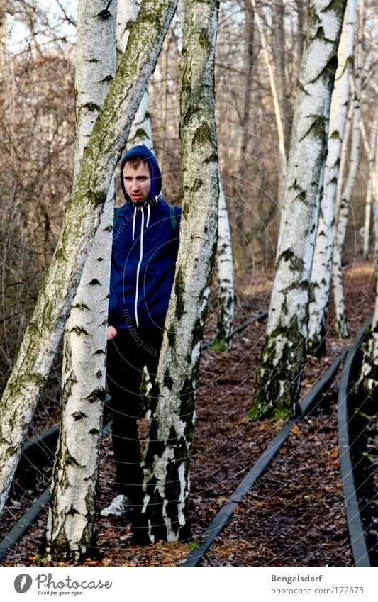 Birch trees Railroad tracks Human being Young man Youth (Young adults) 1 18 - 30 years Adults Nature Earth Autumn Tree Birch wood Forest Jacket