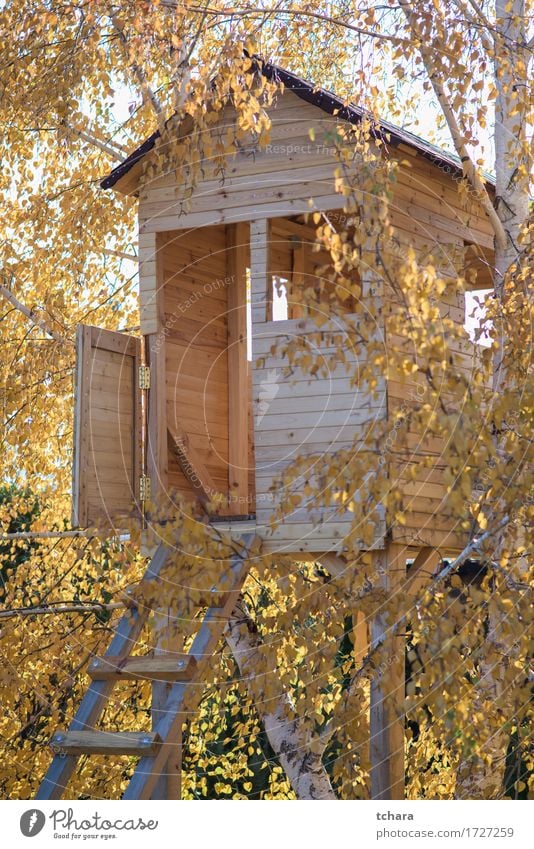Wooden house on a tree Playing Summer House (Residential Structure) Garden Child Nature Landscape Tree Park Forest Playground Building Architecture Balcony