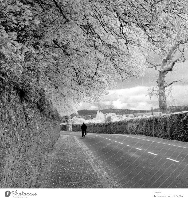 cyclist Black & white photo Exterior shot Day Central perspective Human being 1 Road traffic Cycling Street Lanes & trails Bicycle Driving Traveling