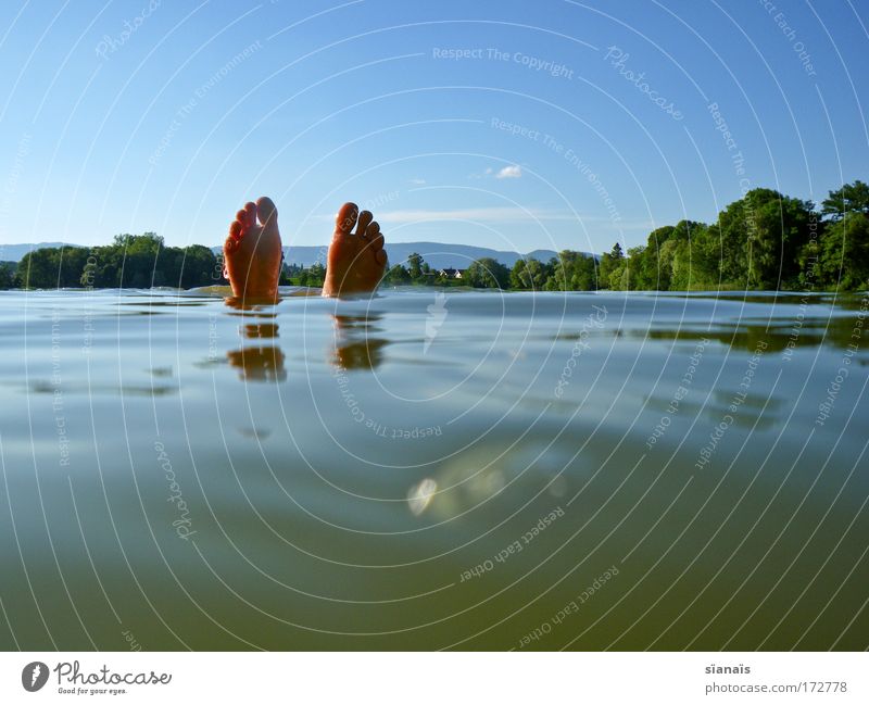 flowed up! Swimming & Bathing Vacation & Travel Trip Dive Swimming pool Human being Masculine Man Adults Feet 1 Water Lake aeschisee Funny Blue Relaxation