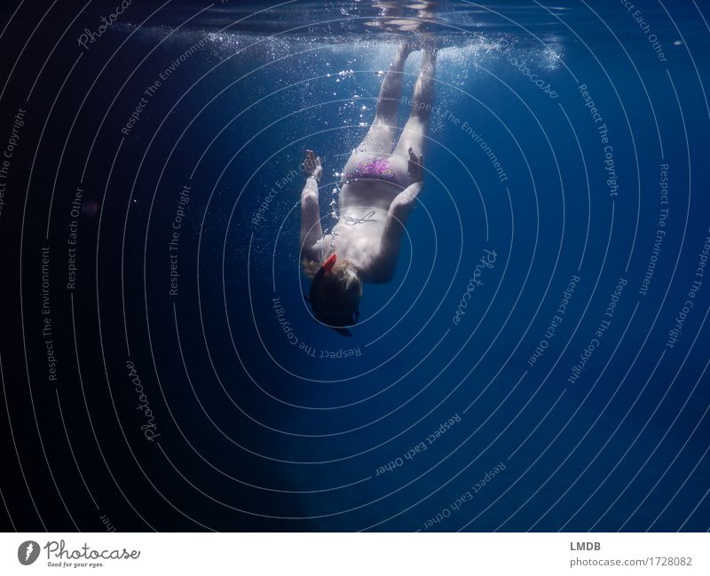 Dive upside down Human being Feminine Young woman Youth (Young adults) Woman Adults Body 1 18 - 30 years 30 - 45 years Swimming & Bathing The deep Ocean Water
