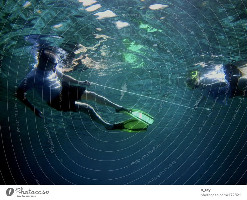entangled Colour photo Underwater photo Morning Sunlight Upward Calm Snorkeling Vacation & Travel Tourism Freedom Ocean Island Human being 2 Water Reef