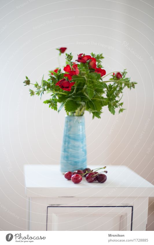 strawberry blossoms Summer Esthetic Design Vase Cherry Blossom Green Red Decoration White Summery Pick Bouquet Pottery Light blue Fresh Birthday Mother's Day