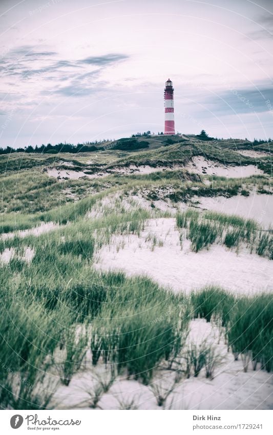 Lighthouse Wittdün / Amrum Vacation & Travel Tourism Trip Far-off places Freedom Environment Nature Landscape Sky Horizon Plant Coast North Sea Ocean Island