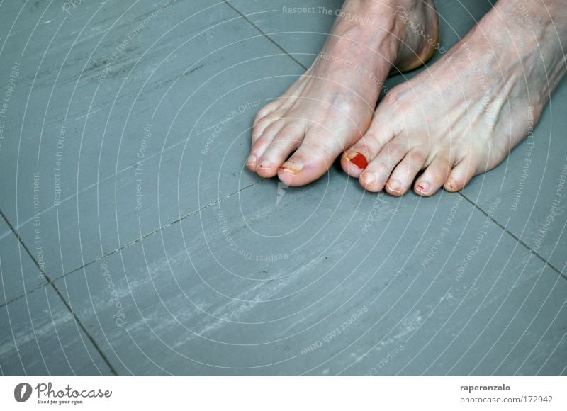 cold feet Colour photo Subdued colour Close-up Copy Space left Copy Space bottom Pedicure Adults Life Feet Animal foot Toes Toenail Touch Stand Old Cold Gray