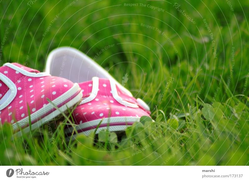 my lovely pink shoes Colour photo Exterior shot Style Leisure and hobbies Summer Feet Nature Grass Garden Fashion Footwear Lie Hip & trendy Green Pink Emotions