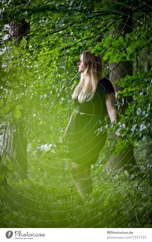 Jacki in the woods. Human being Feminine Young woman Youth (Young adults) 1 18 - 30 years Adults Environment Nature Summer Tree Forest Dress Blonde Long-haired