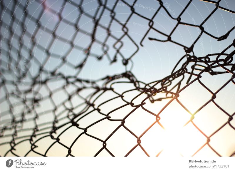 wire mesh fence with hole Sky Cloudless sky Sun Fence Gap in the fence Hollow Structures and shapes Broken Border Open Colour photo Subdued colour