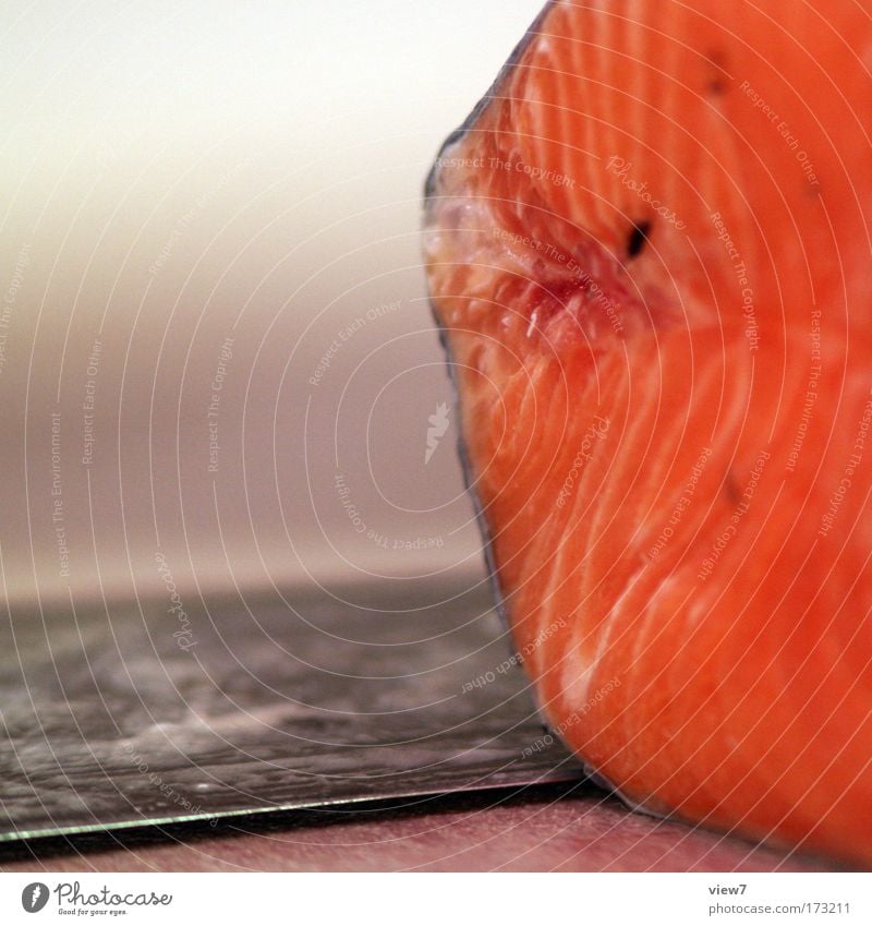 salmon Colour photo Multicoloured Interior shot Macro (Extreme close-up) Deserted Copy Space left Shallow depth of field Food Fish Nutrition Cutlery Knives