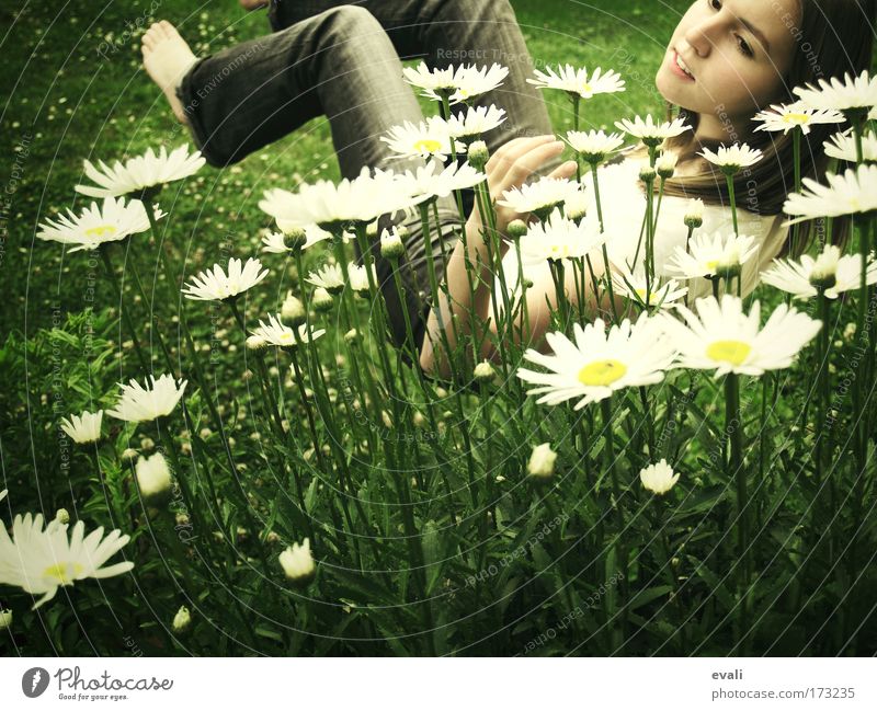 Light as a feather Colour photo Exterior shot Copy Space bottom Day Feminine Young woman Youth (Young adults) Face 1 Human being Spring Summer Flower Grass
