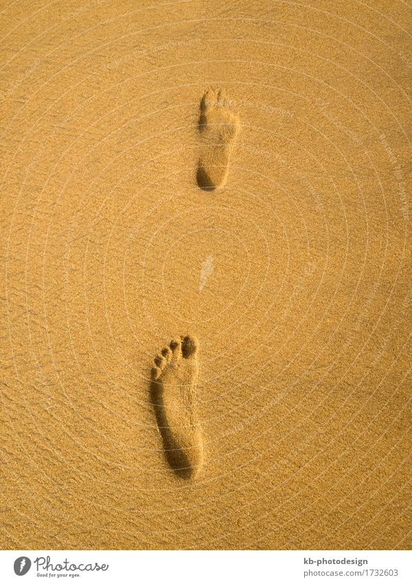 Footprint at the beach in Sri Lanka Relaxation Vacation & Travel Tourism Beach Sand Going sunny footprint footprints barefoot time-out sky landscape landscapes