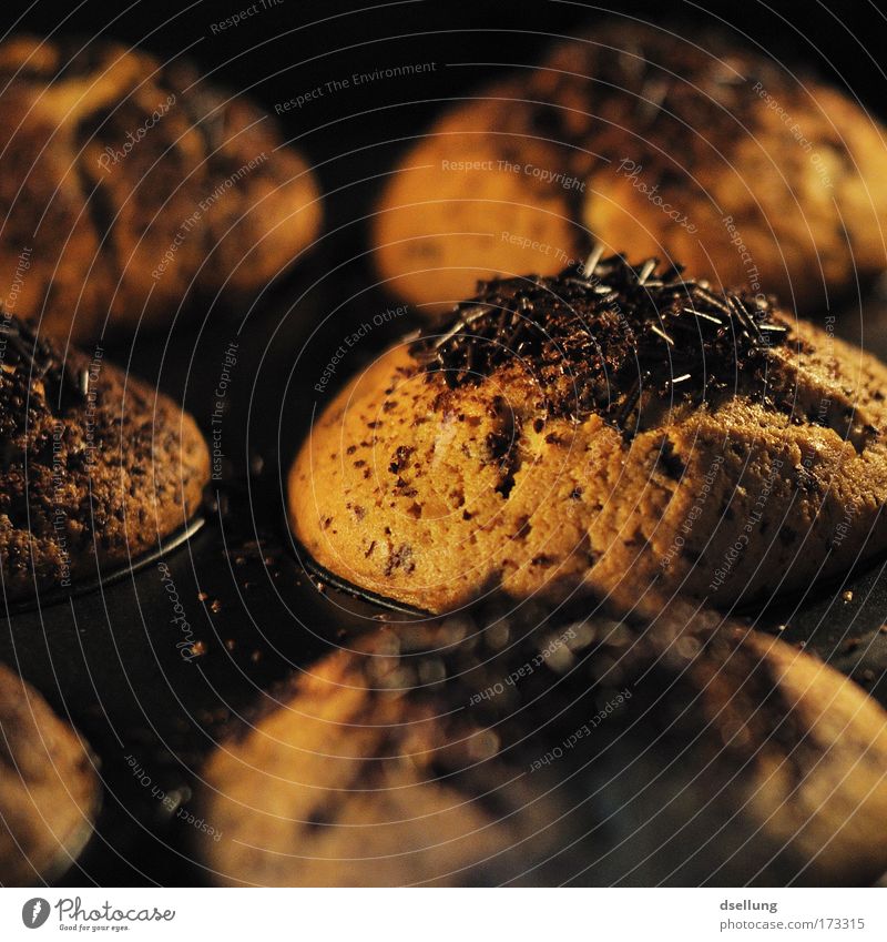 Watching muffins being baked with chocolate sprinkles Colour photo Interior shot Close-up Deserted Artificial light Contrast Shallow depth of field