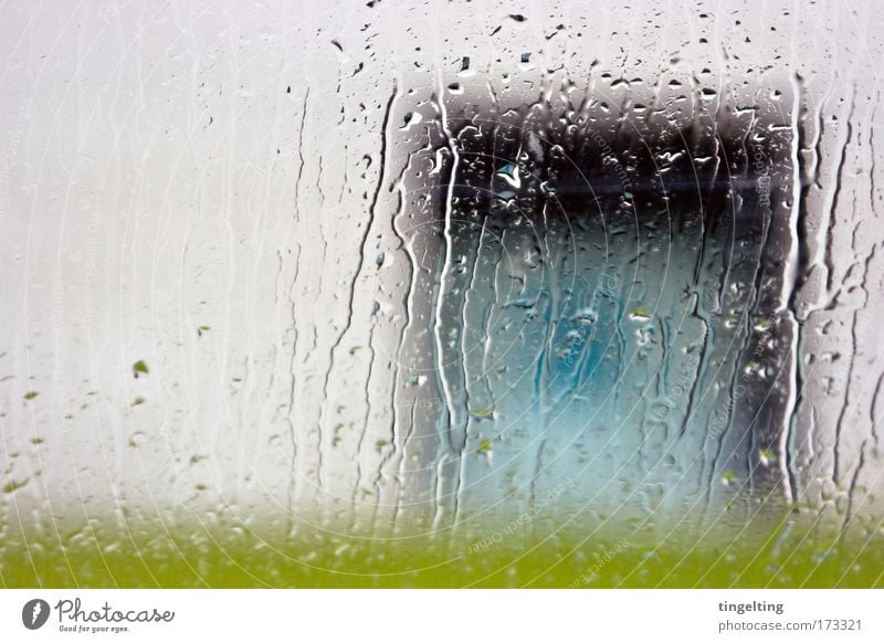 rain Colour photo Exterior shot Experimental Deserted Copy Space left Exhibition Water Drops of water Bad weather Rain Grass Meadow Wall (barrier)