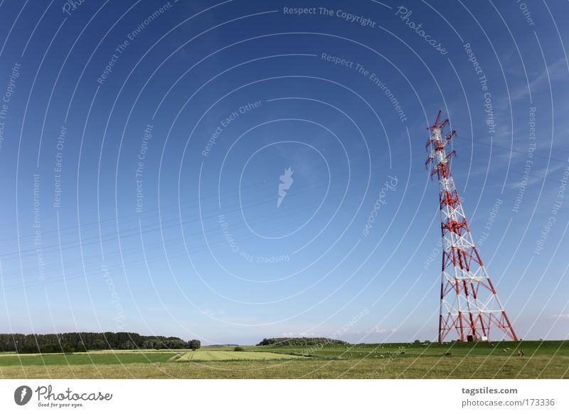 IF YA WIT'ME LET ME HEAR YA SAY MÄÄÄÄÄH! Dike Sheep Electricity pylon Mast High voltage power line Meadow Pasture Willow tree Willow-tree Northern Germany